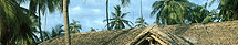 Andaman & Nicobar Islands
