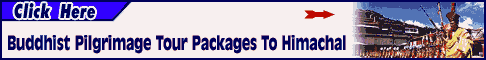 Click Here to Know More