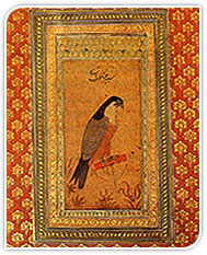 A perched falcon, gouache on paper, Mughal period, 17th century AD