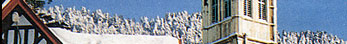 Shimla Travel Guide